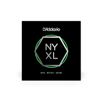 D`ADDARIO NYNW052