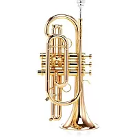 Carol Brass CCR-3880-GSS-Bb-L