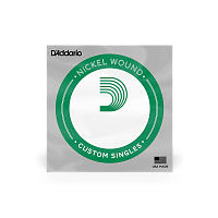 D`ADDARIO PNG031